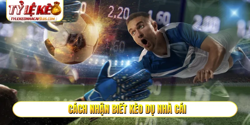 Cách nhận biết kèo dụ nhà cái