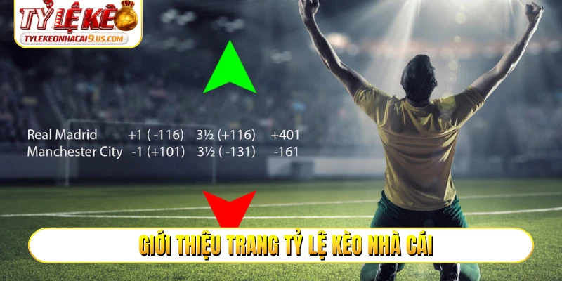 Giới thiệu tổng quan trang Tỷ lệ kèo nhà cái